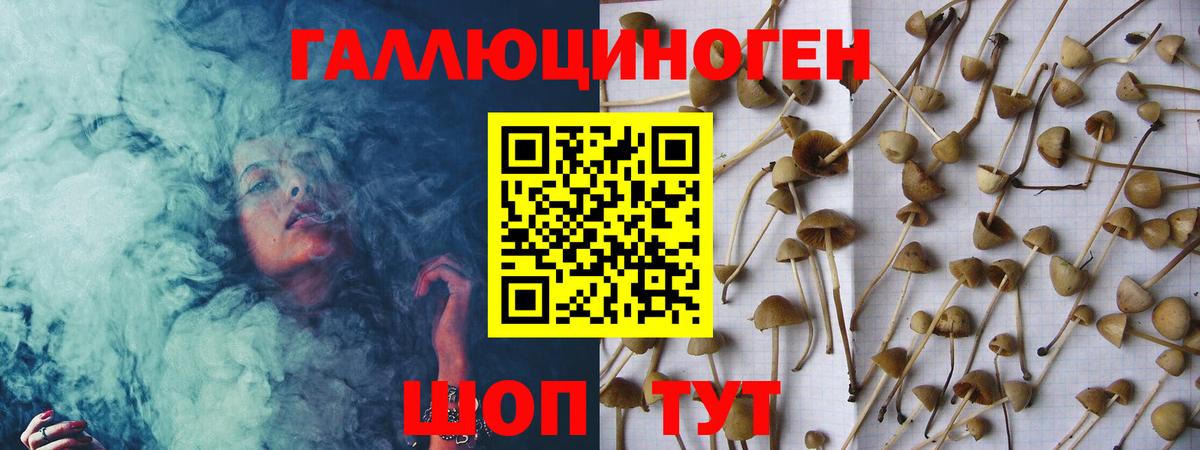Псилоцибиновые грибы ЛСД Подольск